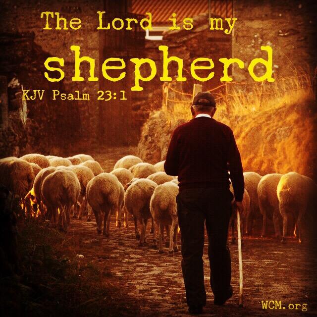 lord is my shepherd man sheep