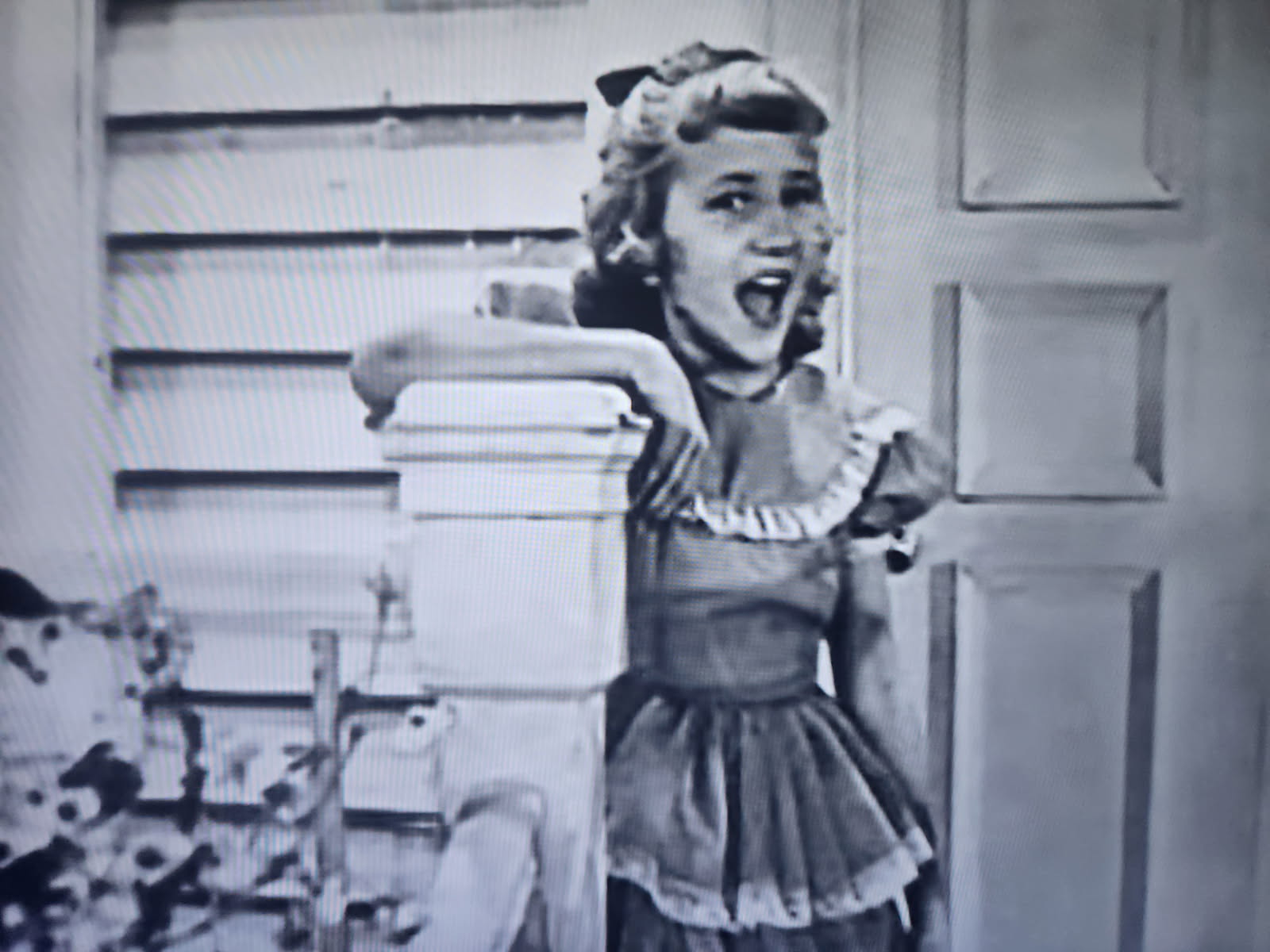 I want a
                    hippopotamas for christmas