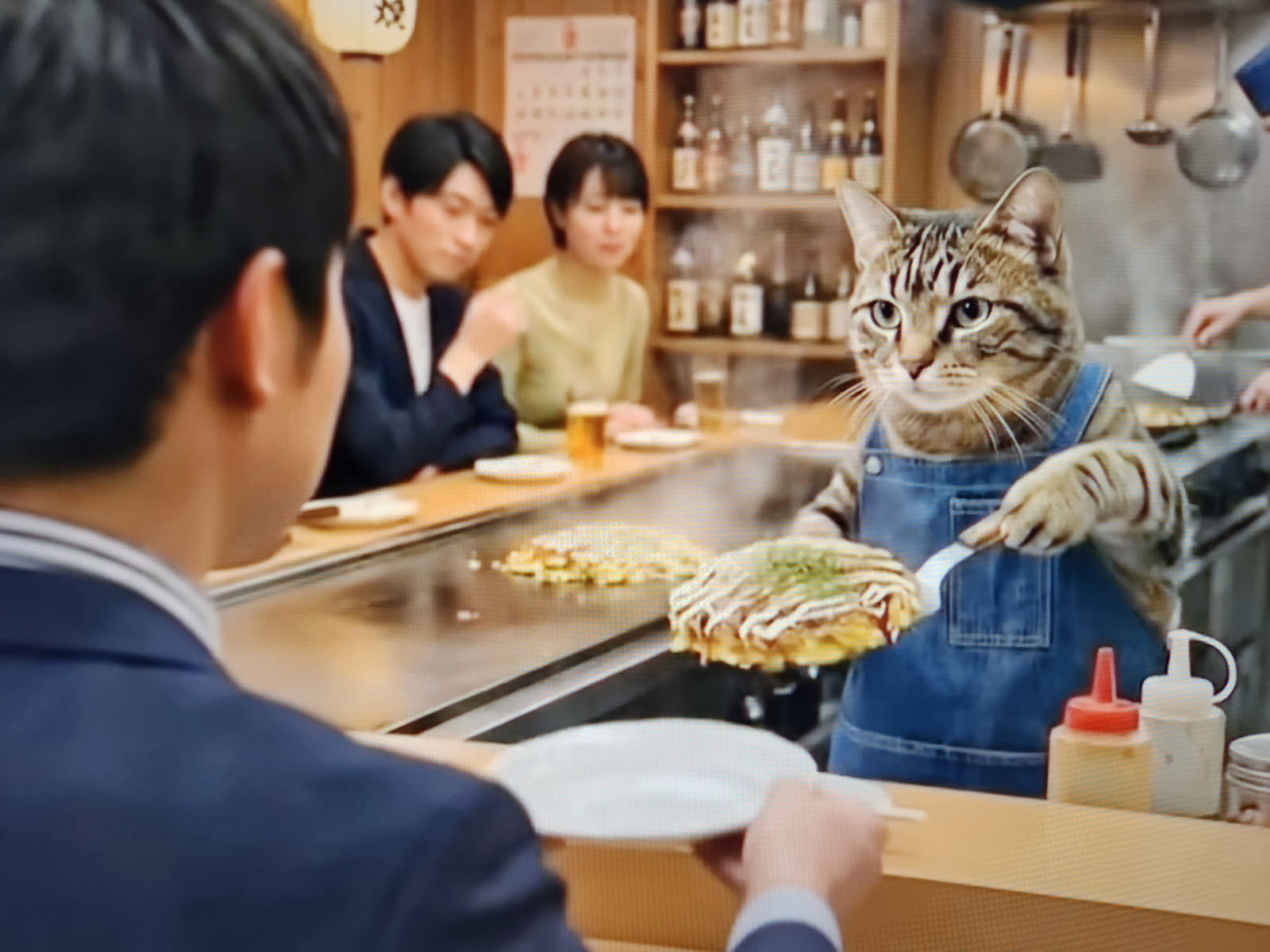 haru the
                  cat at diner 2