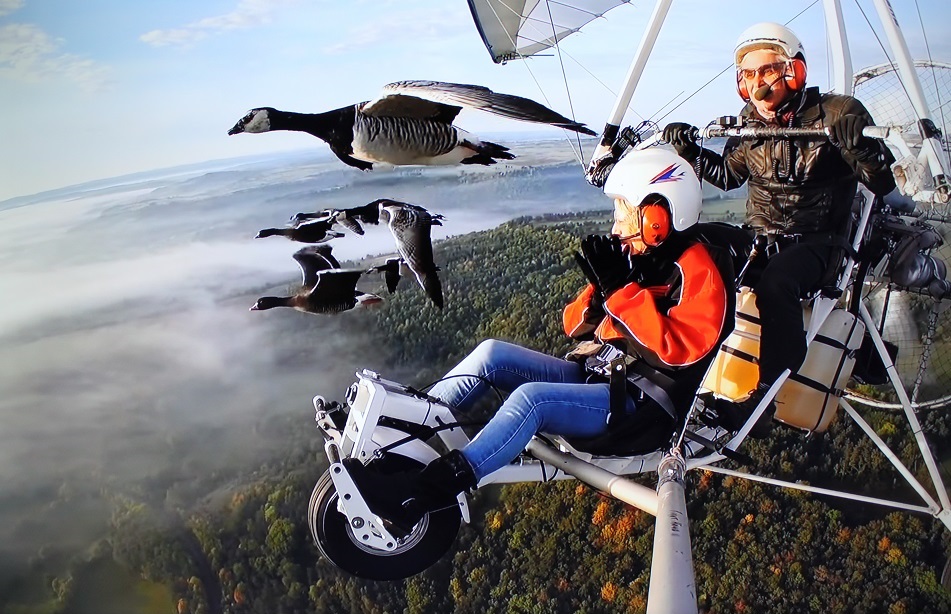 fly with the birds one
