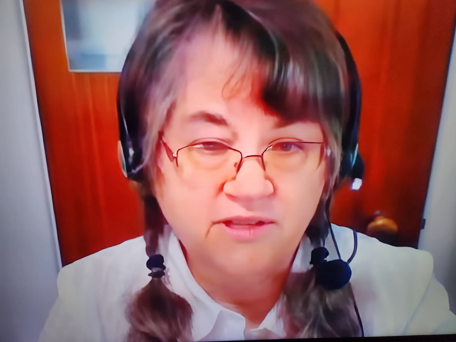 nde Rosemary Thornton Testimony