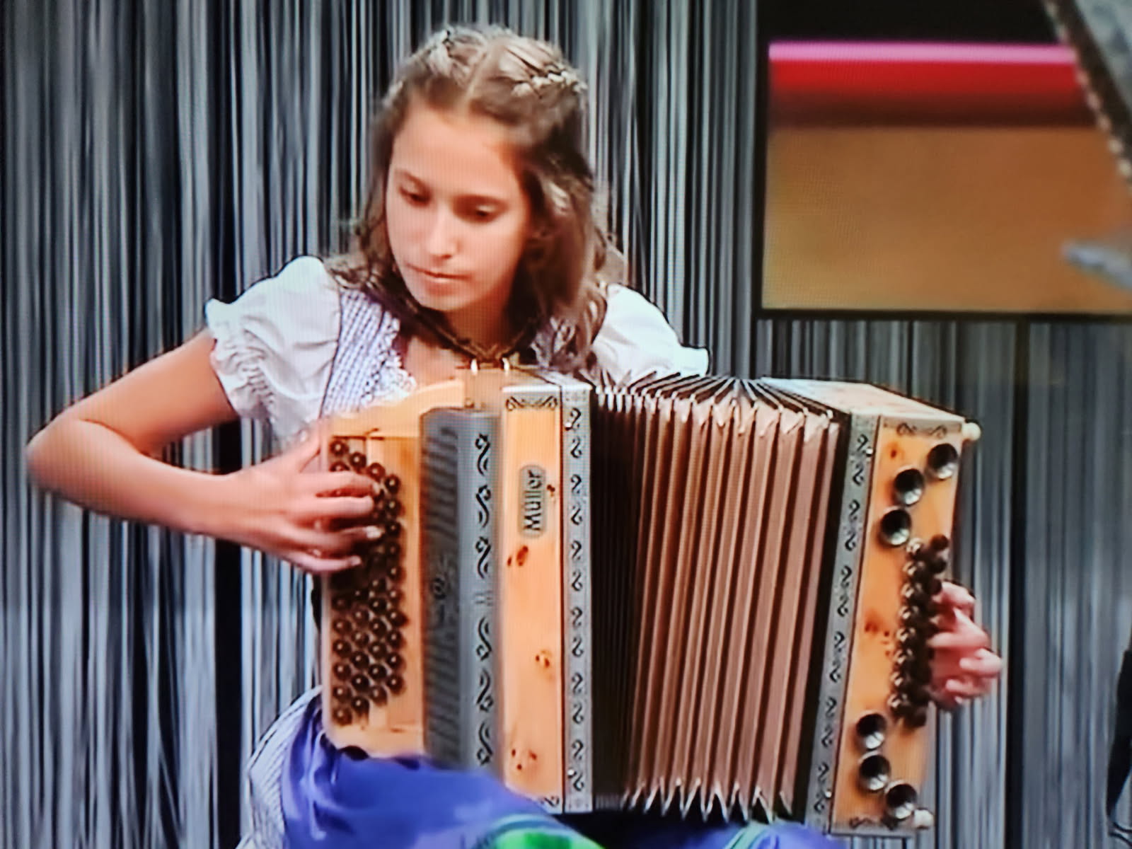 sarah
                    steiner accordian