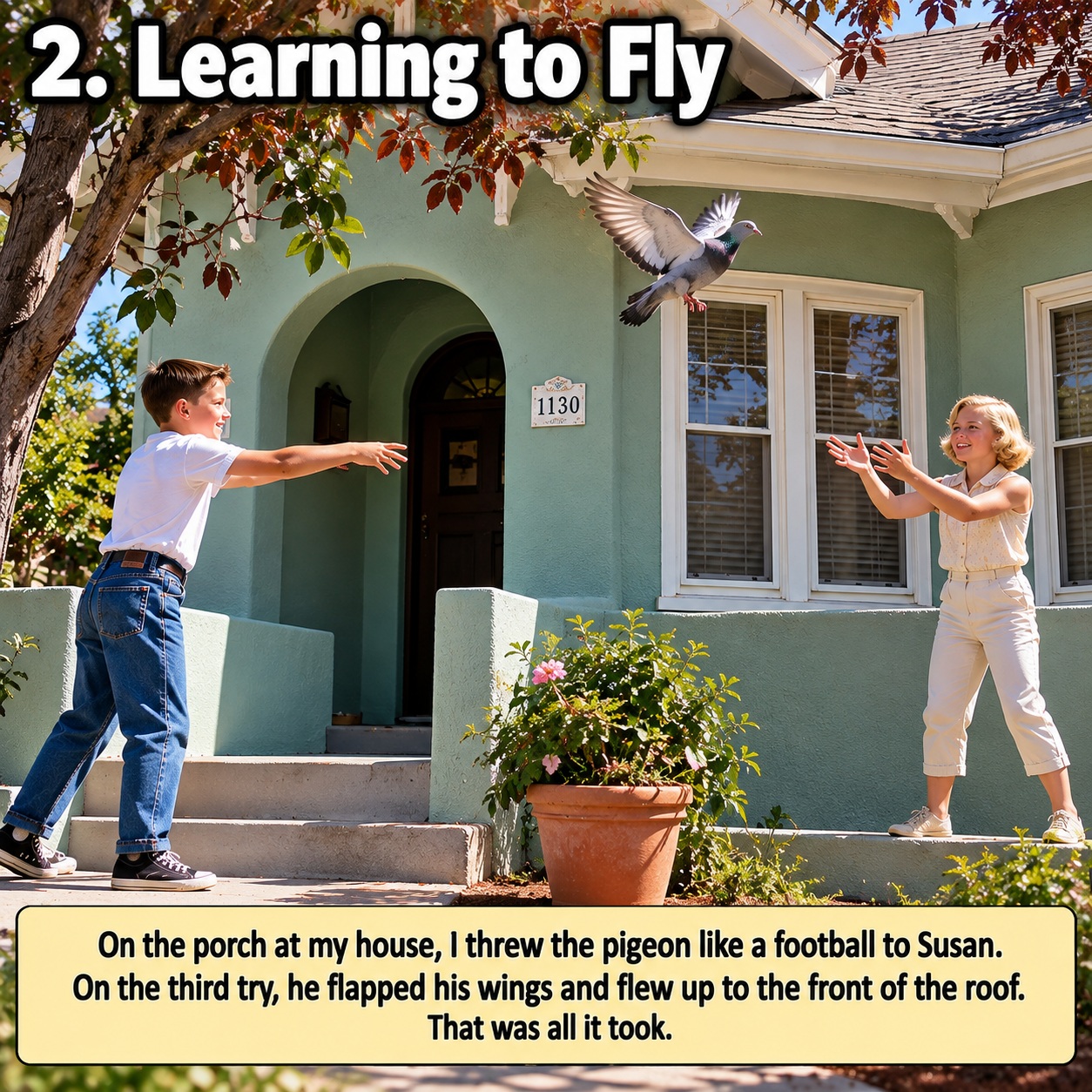 pigeon graphic 2