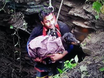 dog rescue from deep pit.