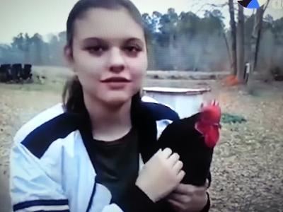 rooster loves girl